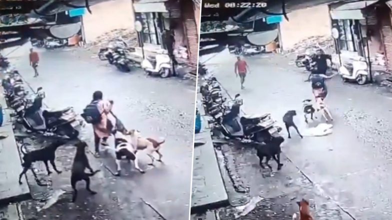 Dog Attack in Ulhasnagar: स्कूल जा रही बच्ची पर आवारा कुत्तों ने किया हमला, आसपास मौजूद लोगो ने बचाई जान, मुंबई से सटे उल्हासनगर का वीडियो आया सामने; VIDEO