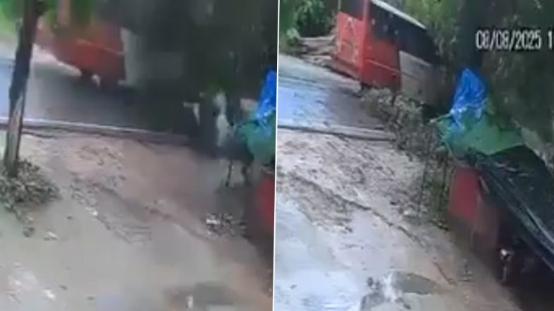 Barabanki Tree Collapse: बाराबंकी में पेड़ गिरने से 5 लोगों की दर्दनाक मौत, सीसीटीवी में कैद हुआ हादसा