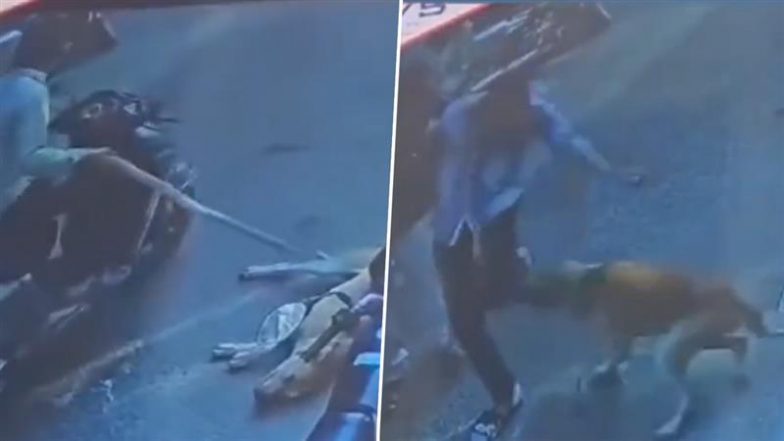 Viral Video: कुत्ते ने मचाया कोहराम! पहले गाय को काटा, फिर बचाने आये व्यक्ति को भी