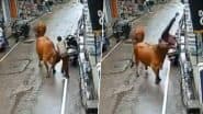 Bull Attack: सड़क पर खड़े युवक पर गुस्साएं सांड ने किया जानेलवा हमला, सींगों पर उठाकर जमीन पर पटका, हिमाचल प्रदेश के बिलासपुर का VIDEO आया सामने