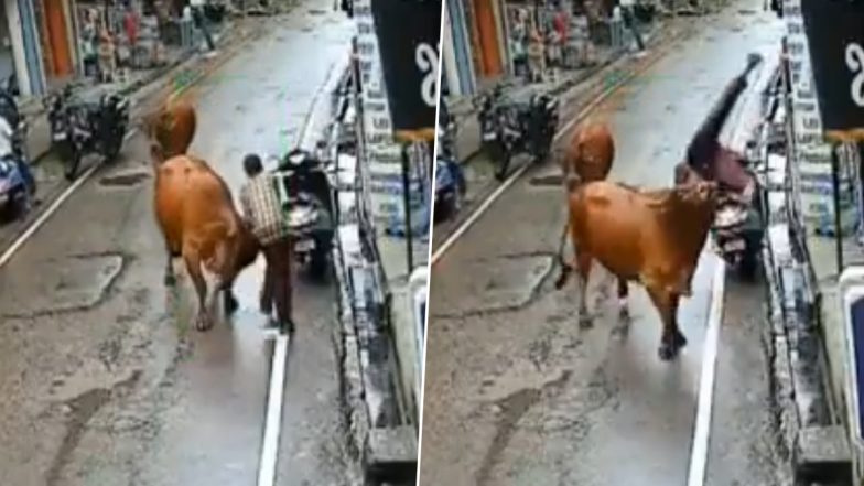 Bull Attack: सड़क पर खड़े युवक पर गुस्साएं सांड ने किया जानेलवा हमला, सींगों पर उठाकर जमीन पर पटका, हिमाचल प्रदेश के बिलासपुर का VIDEO आया सामने