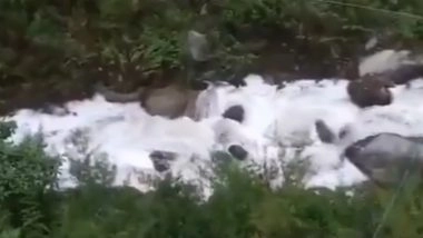 Himachal Pradesh: कुल्लू में बहने लगी दूध की नदी, करीब 2 हजार लीटर दूध बहाया, सोशल मीडिया पर VIDEO आया सामने