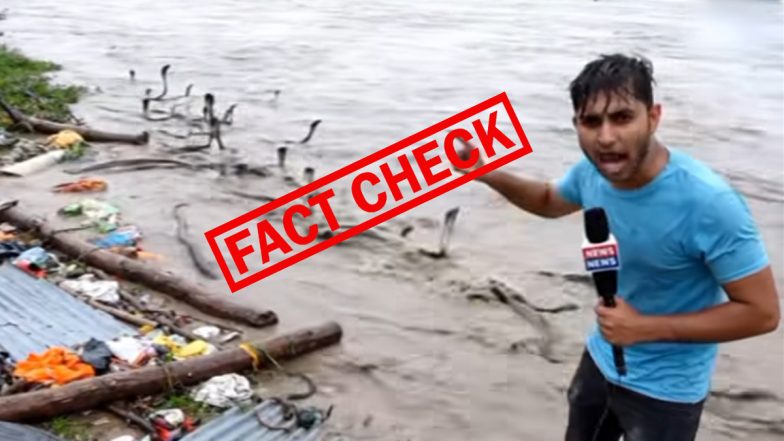 Fact Check: क्या राजस्थान की गंभीर नदी में बाढ़ के साथ बहने लगे सैकड़ों सांप, सोशल मीडिया पर वायरल हो रहे इस वीडियो की जाने सच्चाई