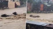 Heavy Rain in Dehradun: देहरादून में बारिश का कहर! रायपुर के नालापानी में बहते दिखी गायें, वीडियो आया सामने; VIDEO