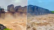 Nanded Heavy Rain: नांदेड जिले में भारी बारिश ने मचाई तबाही, कई गांव डूबे, 40 से 50 मवेशियों की हुई मौत, सामने आया भयावह नजारा; VIDEO