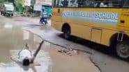 Kanpur: गड्डे में गिरने के कारण बेटी हुई घायल, नाराज पिता ने किया अनोखा विरोध, चटाई और तकिया डालकर सड़क पर लेटे, कानपुर का वीडियो आया सामने; VIDEO