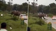 Elephant Attacks Tourist: कर्नाटक के बांदीपुर टाइगर रिज़र्व में हाथी ने किया टूरिस्ट पर हमला, घायल युवक को भेजा गया हॉस्पिटल, VIDEO आया सामने