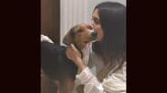 Supreme Court On Stray Dogs: सुप्रीम कोर्ट के आवारा कुत्तों पर आदेश पर भूमि पेडनेकर ने जताई चिंता, कहा- 'ये समस्या का समाधान नहीं'