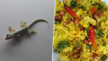 Lizard’s Head Found in Food: नाश्ते के पोहे में मरीज को मिला छिपकली का कटा हुआ सिर, अकोला के सरकारी हॉस्पिटल का मामला, लोगों की जान के साथ खिलवाड़