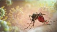 Chikungunya Cases Rise in Maharashtra: मुंबई सहित महाराष्ट्र में चिकनगुनिया के मामले बढ़े; चीन में भी स्थिति गंभीर, WHO ने जताई चिंता