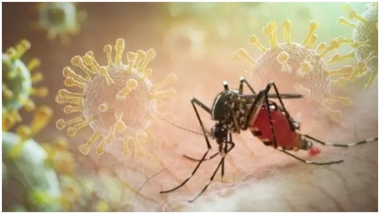 Chikungunya Cases Rise in Maharashtra: मुंबई सहित महाराष्ट्र में चिकनगुनिया के मामले बढ़े; चीन में भी स्थिति गंभीर, WHO ने जताई चिंता
