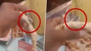 Lizard Found in Tandoori Roti: बाप रे! अब तंदूरी रोटी में निकली मरी हुई छिपकली, कानपुर के ढाबे की बड़ी लापरवाही; VIDEO