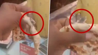 Lizard Found in Tandoori Roti: рдмрд╛рдк рд░реЗ! рдЕрдм рддрдВрджреВрд░реА рд░реЛрдЯреА рдореЗрдВ рдирд┐рдХрд▓реА рдорд░реА рд╣реБрдИ рдЫрд┐рдкрдХрд▓реА, рдХрд╛рдирдкреБрд░ рдХреЗ рдврд╛рдмреЗ рдХреА рдмреЬреА рд▓рд╛рдкрд░рд╡рд╛рд╣реА; VIDEO