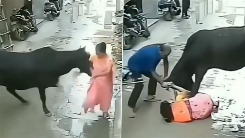Viral Video: आवारा सांड ने महिला पर बुरी तरह से किया हमला, मसीहा बनकर बीच में आया शख्स, बचाई पीड़िता की जान