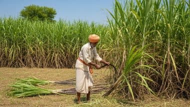 फंड का दुरुपयोग! MP में किसानों के 90% पैसे से अफसरों की गाड़ियों में भरा गया पेट्रोल, CAG रिपोर्ट ने खोली पोल फंड का दुरुपयोग! MP में किसानों के 90% पैसे से अफसरों की गाड़ियों में भरा गया पेट्रोल, CAG रिपोर्ट ने खोली पोल