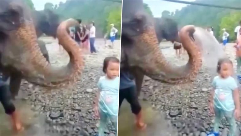 Viral Video: सूंड से पानी की बौछार करके छोटी बच्ची के साथ मस्ती करने लगा हाथी, मजेदार वीडियो देख बन जाएगा आपका दिन
