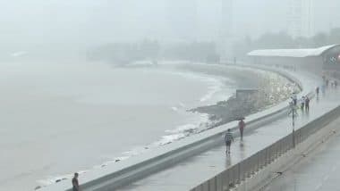 Mumbai Rain Video: मुंबई में बारिश के बीच IMD का 'येलो' अलर्ट; जानें ठाणे, नवी मुंबई समेत आस-पास के जिलों में आज कैसा रहेगा मौसम का हाल