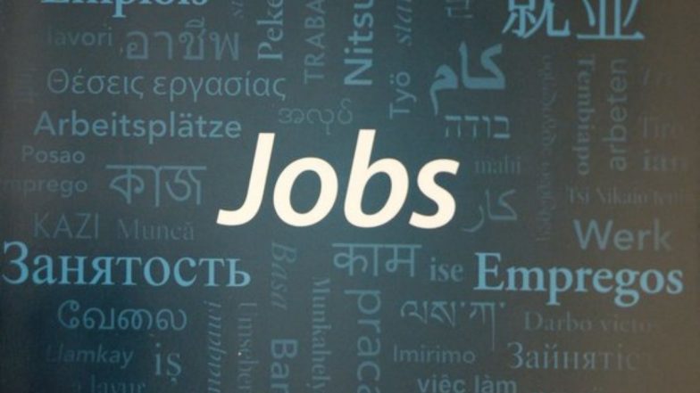 India Unemployment Rate: देशभर में सभी को मिल रही है नौकरी? बेरोजगारी दर घटकर 5.2% पर पहुंचा, ग्रामीण इलाकों में हालात बेहतर