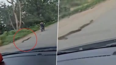 रस्सी से बांधकर अजगर को बाइक के पीछे कई किलोमीटर तक घसीटता रहा शख्स, Viral Video देख भड़क उठा लोगों का गुस्सा
