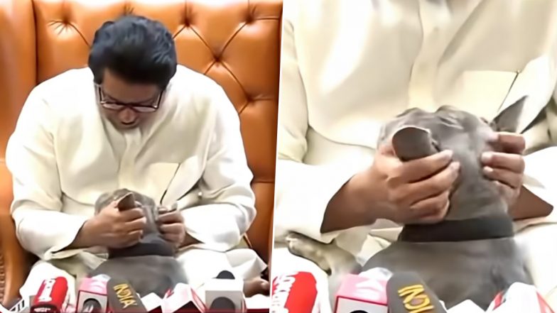 Raj Thackeray PC Video: राज ठाकरे के पालतू कुत्ते 'Rhino' ने प्रेस कॉन्फ्रेंस में मारी एंट्री, MNS प्रमुख ने दी दिलचस्प प्रतिक्रिया, वीडियो वायरल