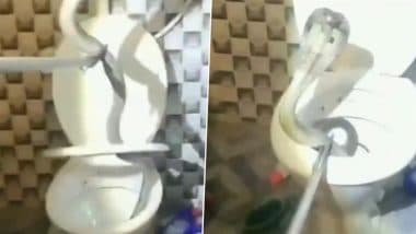 Jharkhand: कमोड में छुपकर बैठा था किंग कोबरा, हल्का होने गया शख्स तो नागराज को देखकर उड़ गए होश (Watch Video)