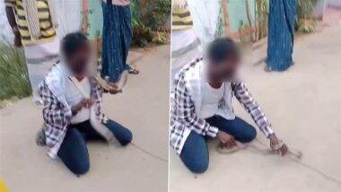 किंग कोबरा के सामने नागिन डांस करने लगा शख्स, अगले ही पल नागराज ने किया कुछ ऐसा... Viral Video देख उड़े सबके होश किंग कोबरा के सामने नागिन डांस करने लगा शख्स, अगले ही पल नागराज ने किया कुछ ऐसा... Viral Video देख उड़े सबके होश