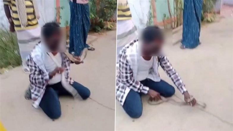 किंग कोबरा के सामने नागिन डांस करने लगा शख्स, अगले ही पल नागराज ने किया कुछ ऐसा... Viral Video देख उड़े सबके होश