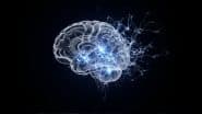 Why Your Mind Goes Blank? आपका दिमाग अचानक 'ब्लैंक' क्यों हो जाता है? वैज्ञानिकों ने इस रहस्य से उठाया पर्दा