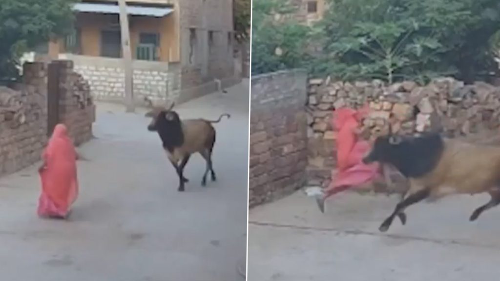 जोधपुर जिले में महिला पर सांड ने किया जानलेवा हमला.