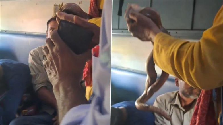 Viral Video: साबरमती एक्सप्रेस में जिन्दा सांप लेकर युवक ने यात्रियों से वसूले पैसे; रेलवे ने की कार्रवाई