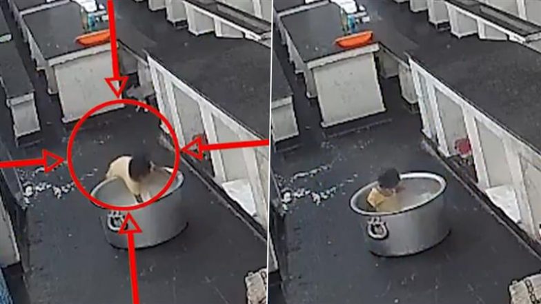 Andhra Pradesh: अनंतपुर में गरम दूध में गिरने से बच्ची की दर्दनाक मौत, पूरी घटना CCTV में कैद