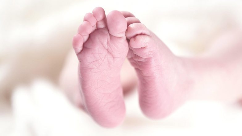 West Bengal: पश्चिम बंगाल के नादिया में कुत्तों ने घेरकर रात भर ठंड से नवजात की बचाई जान, सुबह दिखा भावुक कर देने वाला नज़ारा
