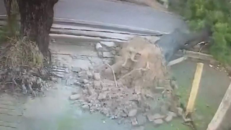 VIDEO: बारिश से बचने के लिए पेड़ के नीचे रुका शख्स, दुसरे ही पल हुआ ऐसा हादसा की चली गई जान, बुलंदशहर का रोंगटे खड़े करनेवाला वीडियो आया सामने