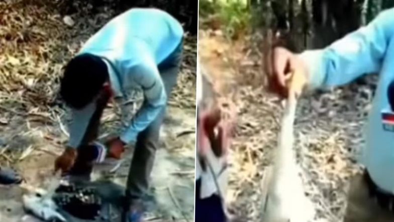 Bihar: सुपौल में निर्दोष पक्षियों का शिकार कर रहे व्यक्ति को रिपोर्टर ने जड़ा थप्पड़, वीडियो वायरल