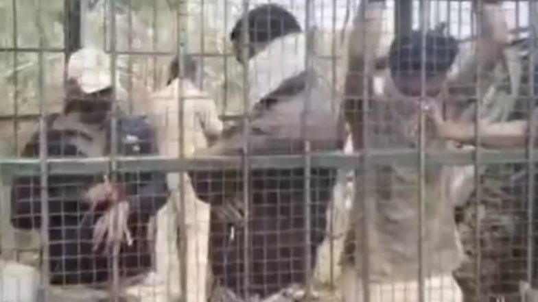 VIDEO: टाइगर को पकडे नहीं जाने पर लोगों का फूटा गुस्सा, पिंजरे में वन कर्मचारियों को ही कर दिया कैद, कर्नाटक के चामराजनगर से हैरान करनेवाली घटना आई सामने