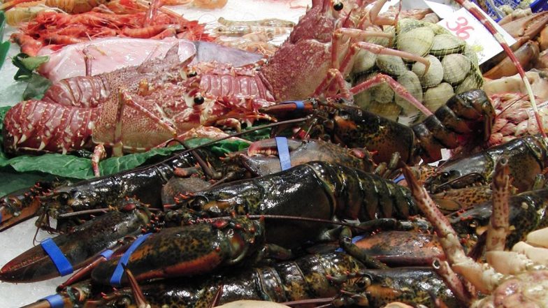 Sea Food Export: भारत समुद्री खाद्य निर्यात में एक ग्लोबल लीडर, 2030 तक निर्यात को दोगुना कर 15 बिलियन डॉलर करने का लक्ष्य