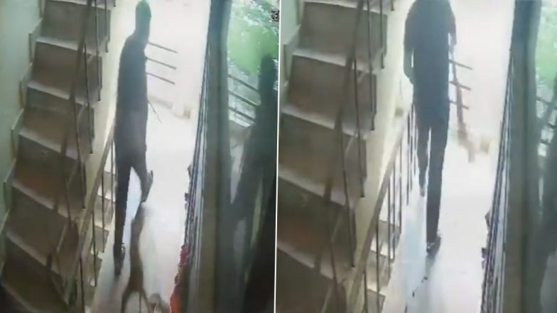 Ghaziabad Shocker: गाजियाबाद में बेरहमी की हदें पार! युवक ने कुत्ते के पिल्ले की डंडे से पीटकर ली जान, फिर सेकंड फ्लोर से फेंका नीचे, VIDEO आया सामने