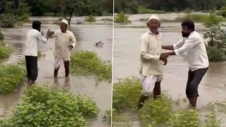 Latur: बारिश के कारण फसल हो गई बर्बाद, बुजुर्ग किसान का दिखाई दिया दर्द, लातूर का वीडियो आया सामने; VIDEO