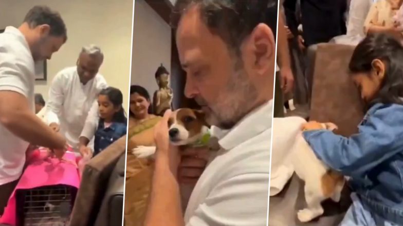 VIDEO: राहुल गांधी ने कांग्रेस के अध्यक्ष मल्लिकार्जुन खड़गे की पोती को जन्मदिन पर दिया प्यारा सा पप्पी गिफ्ट, सोशल मीडिया पर वायरल हुआ वीडियो