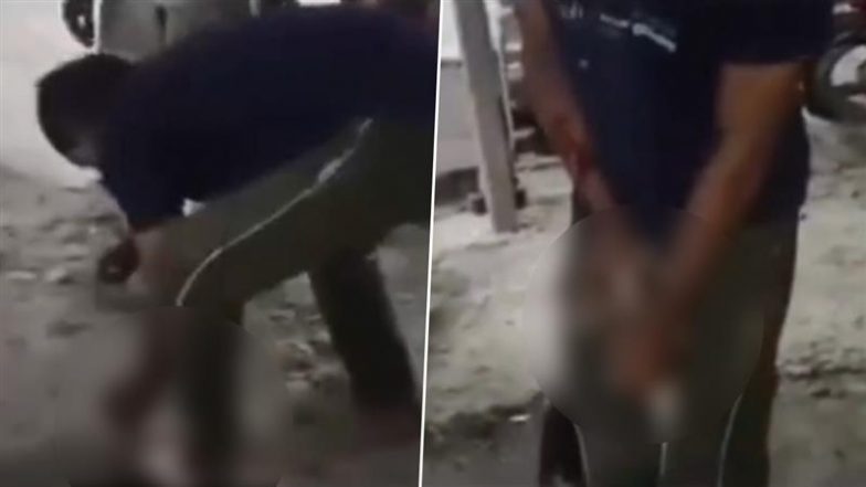 Disturbing Video: यूपी के उन्नाव में कुत्ते ने बेटे को काटा, भड़के पिता ने जानवर का जबड़ा फाड़कर बेरहमी से की हत्या