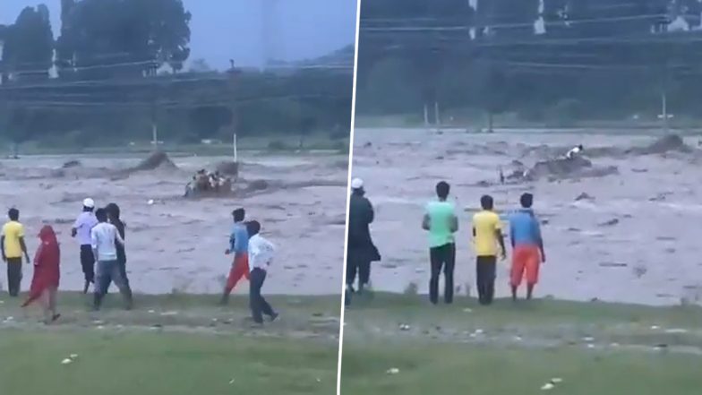 Dehradun: उफनती टोंस नदी में ट्रैक्टर समेत बह गए लोग, 10 मजदूरों के मरने की आशंका, देहरादून का वीडियो आया सामने; VIDEO