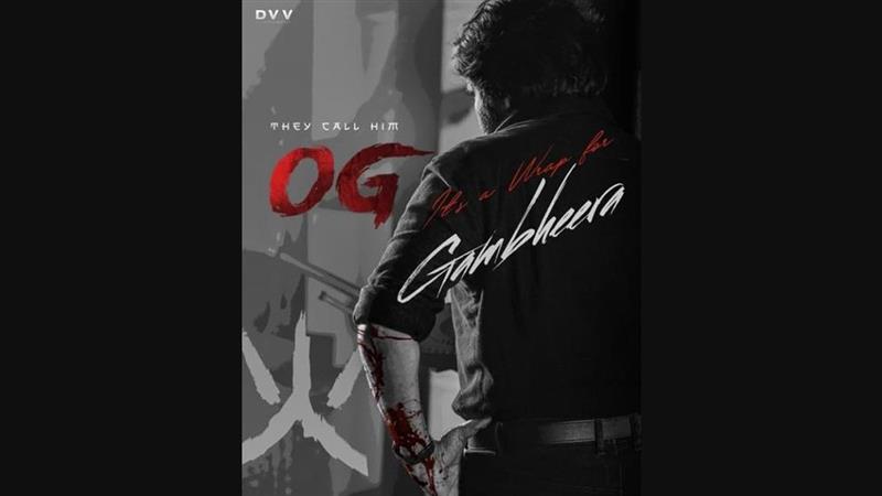 तीन दिनों में 'OG ' ने मचाया बॉक्स ऑफिस पर घमाल, 'जॉली एलएलबी 3' को छोड़ा पीछे