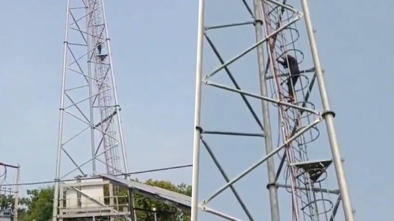 Jaunpur Shocker: मां ने नहीं दिया मोबाइल तो गुस्से में टावर पर चढ़ गया बेटा, जौनपुर का VIDEO सोशल मीडिया पर आया सामने