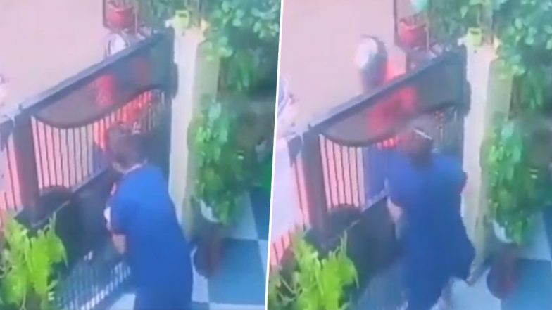 Nagpur: डिलीवरी बॉय बनकर आया आरोपी, गेट के बाहर से महिला का मंगलसूत्र छीनकर भागा, नागपुर में दिनदहाड़े चैन स्नैचिंग; VIDEO