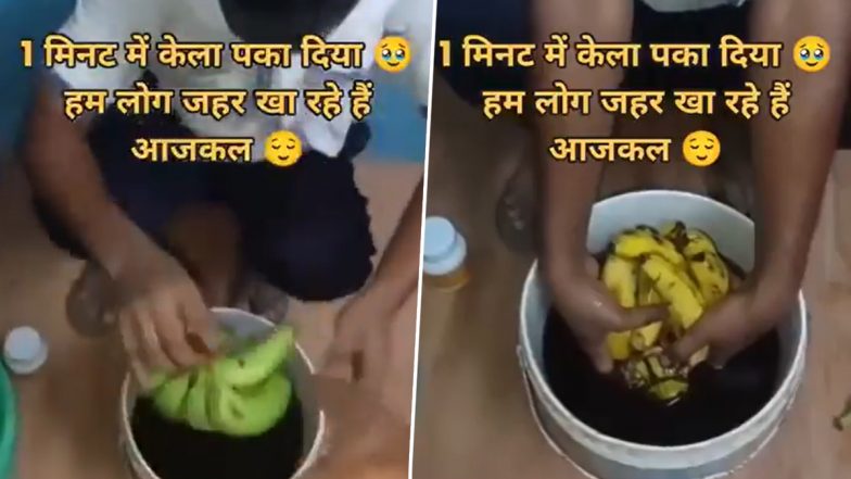 VIDEO: आप भी खाते है फल तो हो जाएं सावधान! केमिकल से भरें पानी में डालते ही 1 मिनट में पक गया हरा केला, सोशल मीडिया पर हैरान करनेवाला वीडियो आया सामने