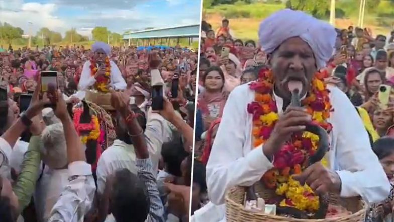 Rajasthan Shocker: सांप के साथ पीया दूध, फिर जीभ पर कटवाया; बारां में तेजाजी महाराज की शोभायात्रा का VIDEO वायरल