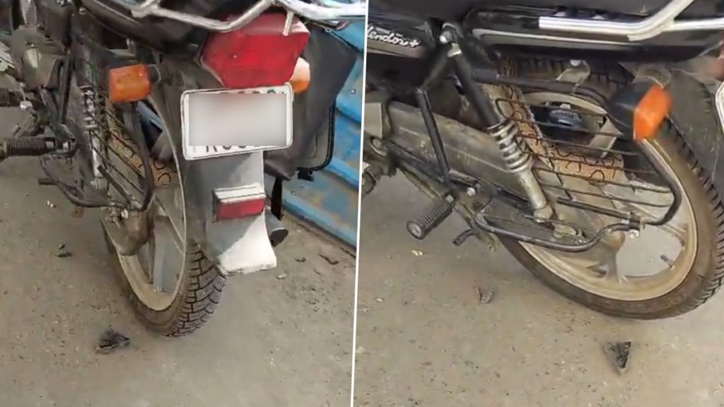 बिजनौर के जिला हॉस्पिटल में बाइक में छिपा बैठा था जहरीला सांप.