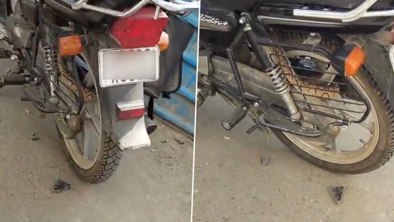 Bijnor: जिला हॉस्पिटल में खड़ी बाइक में छिपा था जहरीला रसल वाइपर, 2 दिनों में पकड़े गए 10 सांप, VIDEO आया सामने