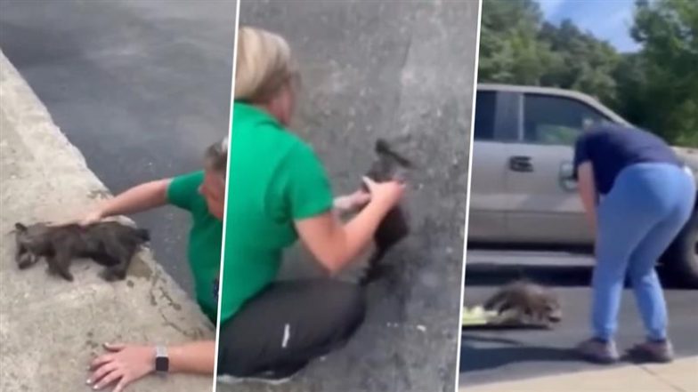 CPR on Drunk Raccoon: अमेरिका के केंटकी में डिस्टिलरी के कूड़ेदान में मिले नशे में धुत रकून को नर्स ने दिया सीपीआर, देखें वीडियो