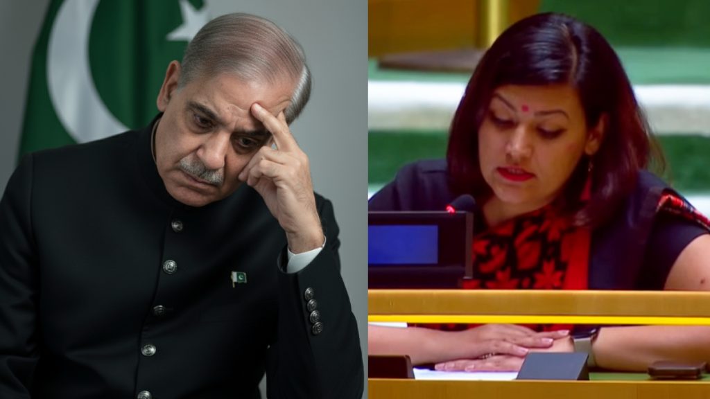 'भारत में आतंकी हमलों का जिम्मेदार पाकिस्तान है', संयुक्त राष्ट्र में भारत ने शहबाज शरीफ को खूब सुनाया